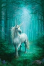 Anne Stokes Einhorn-Grußkarte - Forest Unicorn