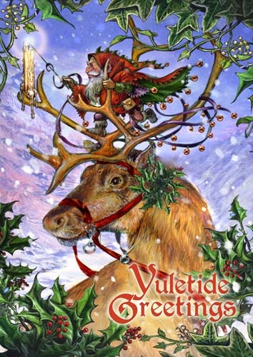 Guided by the Northern Lights Yule Card