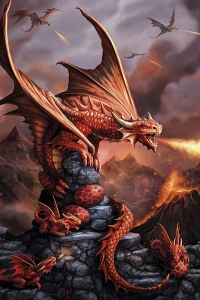 Anne Stokes Drachenzeitalter-Karte - Fire Dragon