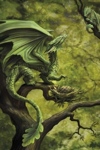 Anne Stokes Drachenzeitalter-Karte - Forest Dragon