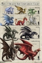 Anne Stokes Drachenzeitalter-Karte - Dragon Size Chart