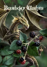 Anne Stokes Geburtstagskarte - Blackberry Dragon